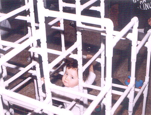 Andras in the Jungle Gym